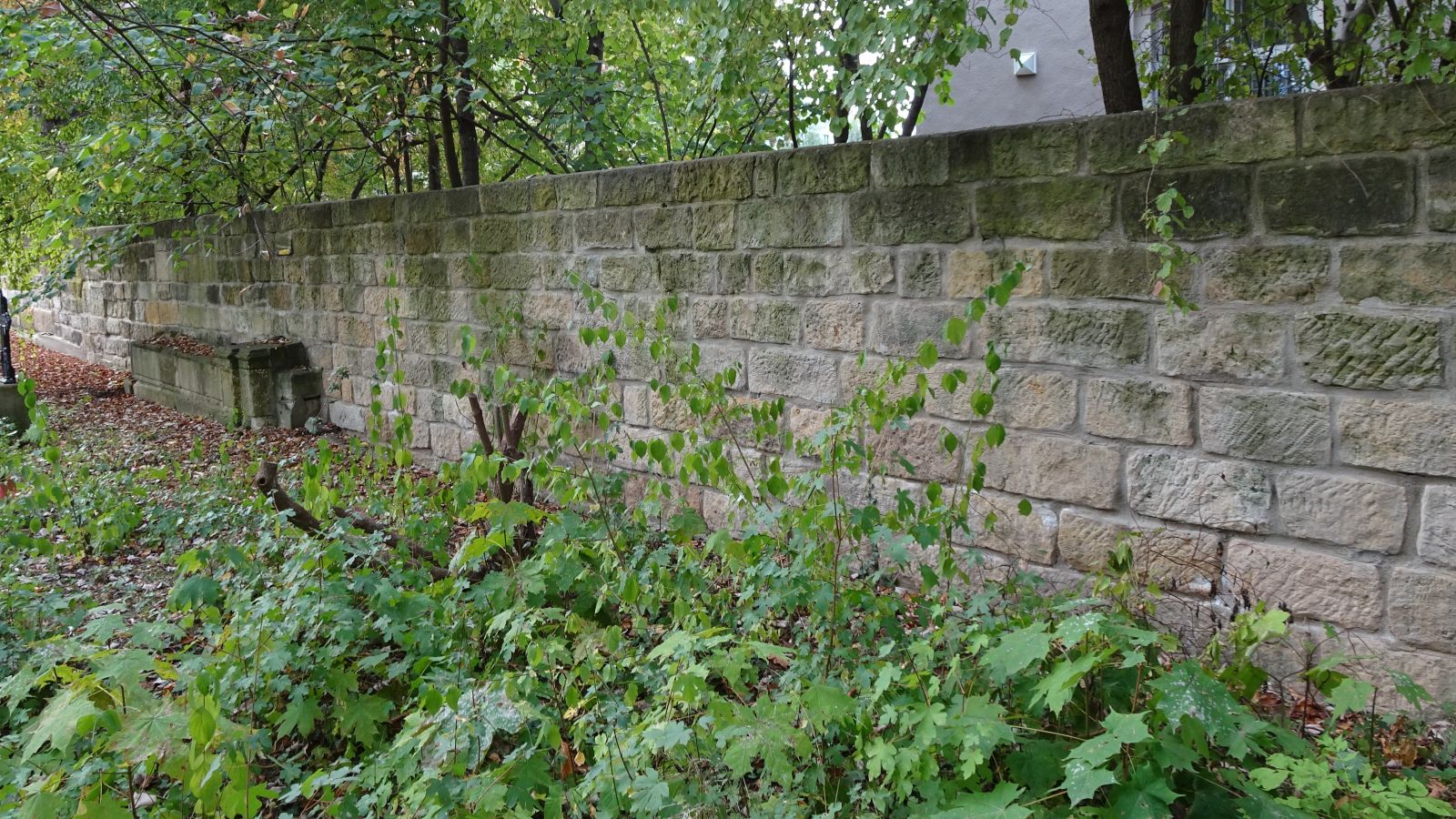 Annenfriedhof 2023 &ndash; Blick von Innen auf die s&uuml;dliche Friedhofsmauer