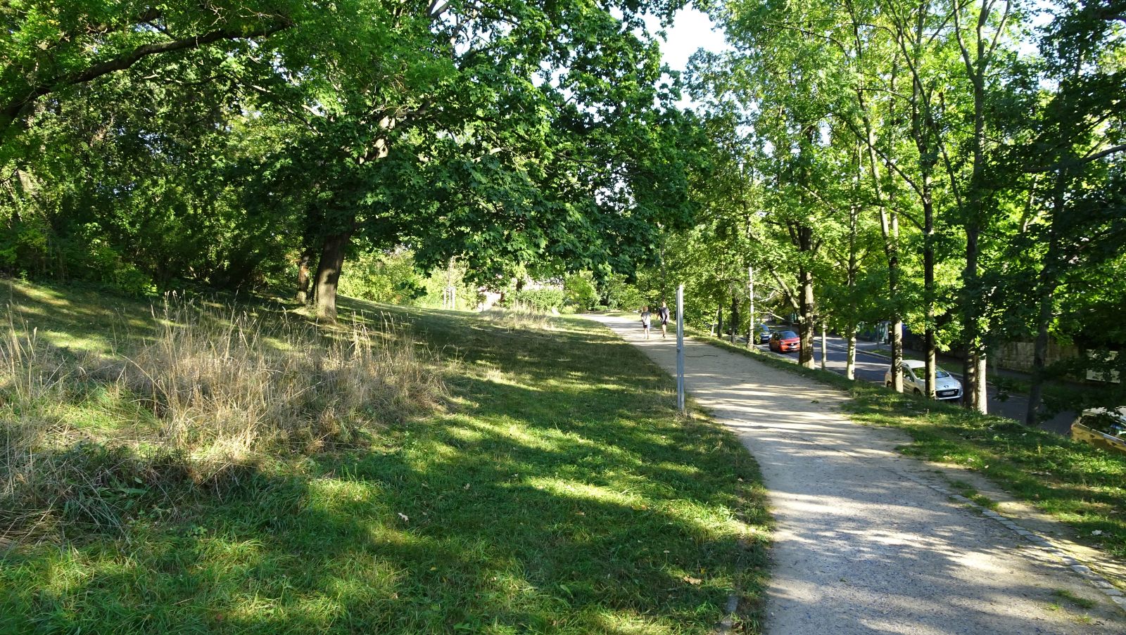 Schanze3 2023 &ndash; Blick parallel zur Feldseite mit stark eingeebnetem Wall und Graben